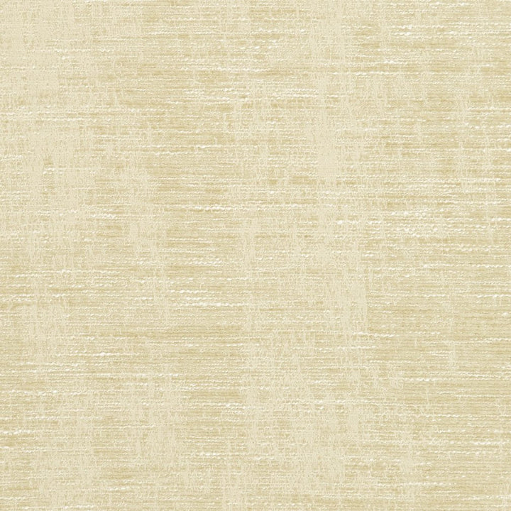 5307 Ecru by Charlotte Designer Fabric Ring Book Page #6A 87% Polyester, 13% Rayon Asia Exceeds 60,000 Wyzenbeek Rubs (Heavy Duty) No Repeat 54 Inches - Swanky Fabrics -