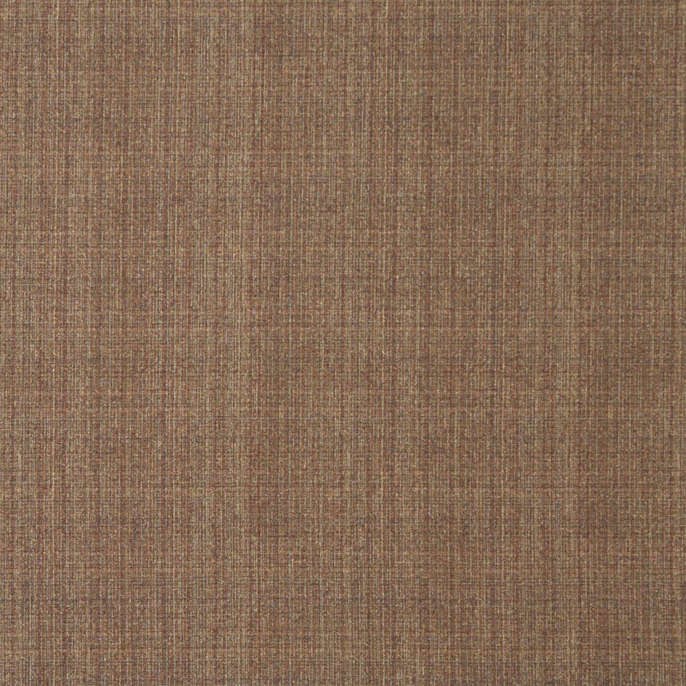 5373 Sable by Charlotte Designer Fabric Ring Book Page #32 55% Polyester; 45% Cotton Asia Exceeds 90,000 Wyzenbeek Rubs (Heavy Duty) No Repeat 54 Inches - Swanky Fabrics -