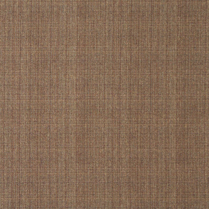 5373 Sable by Charlotte Designer Fabric Ring Book Page #32 55% Polyester; 45% Cotton Asia Exceeds 90,000 Wyzenbeek Rubs (Heavy Duty) No Repeat 54 Inches - Swanky Fabrics -