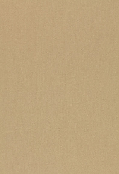 Toscana New Sage 54378 by Schumacher Designer Fabric Luxury-Chenille 72% Rayon, 28% Cotton Wyzenbeek 27,000 Horizontal: 1/4- and Vertical: 3/8- 54 - Swanky Fabrics -