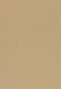 Toscana New Sage 54378 by Schumacher Designer Fabric