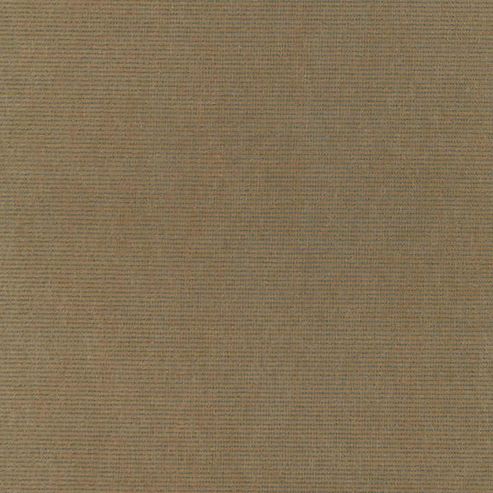Chiaroscuro Velvet Mink 54885 by Schumacher Fabric Schumacher Fabric Chiaroscuro Velvet Mink 54885Fabric COTTON 55% BELGIUM </p><p>Repeat: H: , V: 54 - Fabric Carolina -