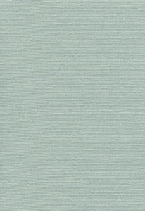 Delacroix Silk Ottoman Aquamarine 54961 by Schumacher Designer Fabric