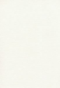 Delacroix Silk Ottoman Ivory 54962 by Schumacher Designer Fabric