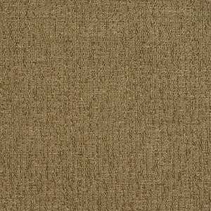5516 Sage by Charlotte Designer Fabric