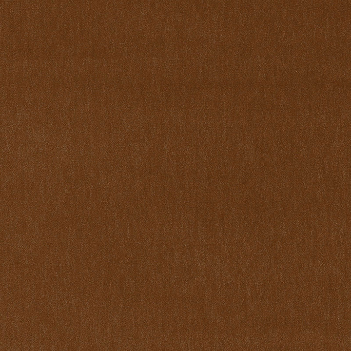 Alpaca Velvet Praline 55272 by Schumacher Fabric Schumacher Fabric Alpaca Velvet Praline 55272Fabric ALPACA 60% BELGIUM </p><p>Repeat: H: , V: 54 - Fabric Carolina -