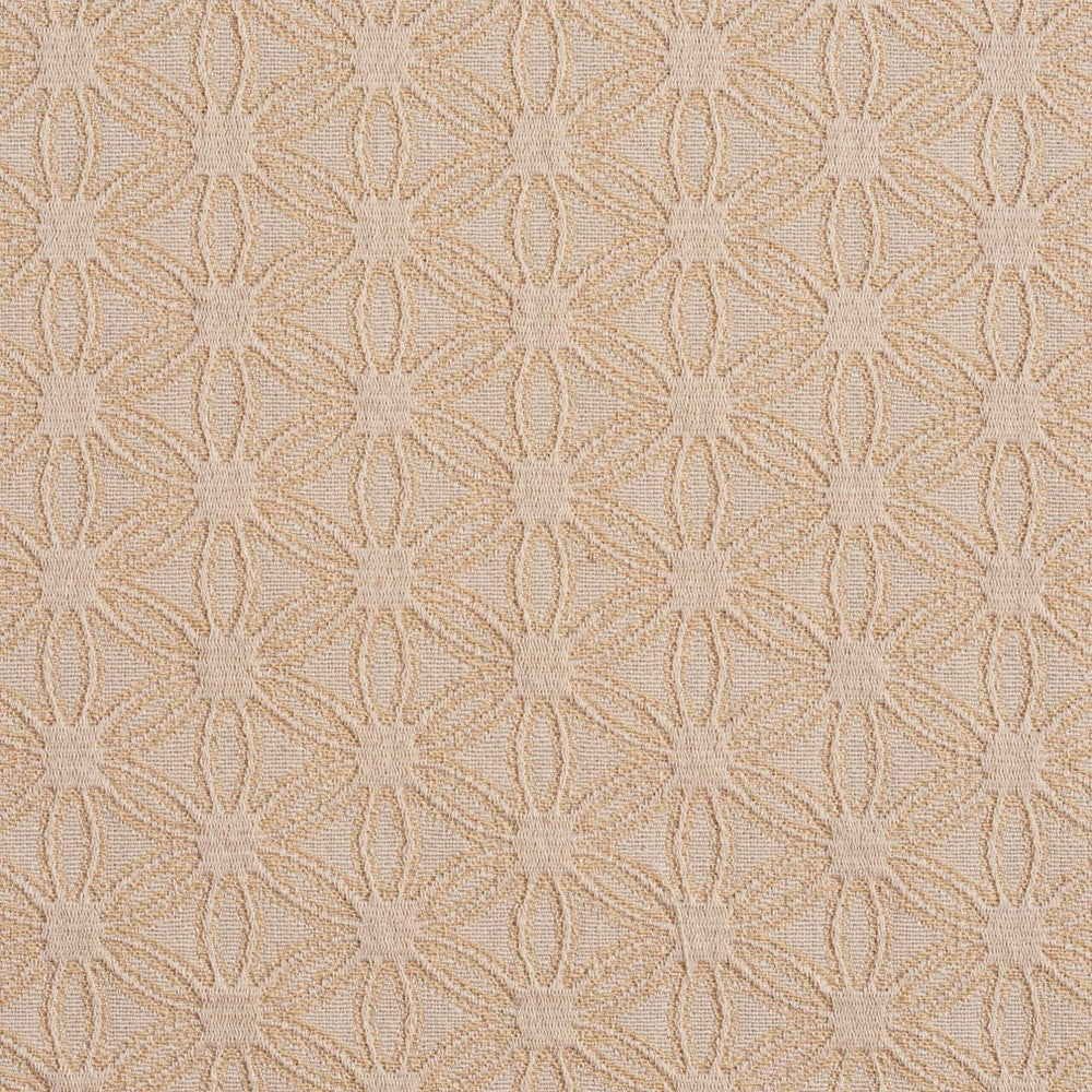 5529 Ivory/Charm by Charlotte Designer Fabric Enchanted Gardens 75% Cotton, 25% Polyester Asia Exceeds 72,000 Wyzenbeek Rubs (Heavy Duty) </p><p>Repeat: Horizontal: 2.5" x Vertical: 1.5" 54 Inches - Swanky Fabrics -
