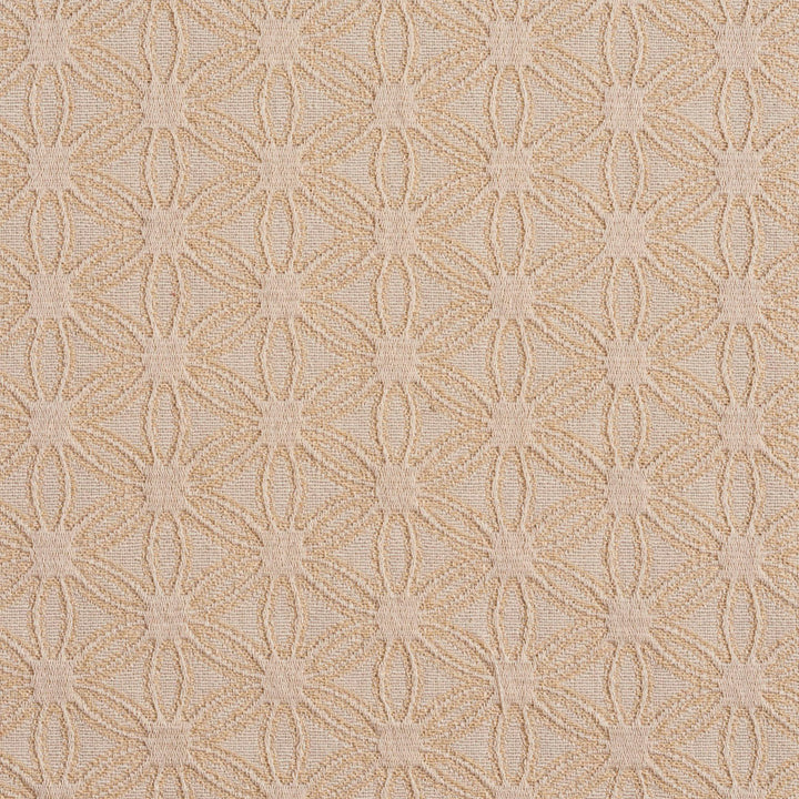 5529 Ivory/Charm by Charlotte Designer Fabric Enchanted Gardens 75% Cotton, 25% Polyester Asia Exceeds 70,000 Wyzenbeek Rubs (Heavy Duty) Horizontal: 2.5" x Vertical: 1.5" 54 Inches - Swanky Fabrics -