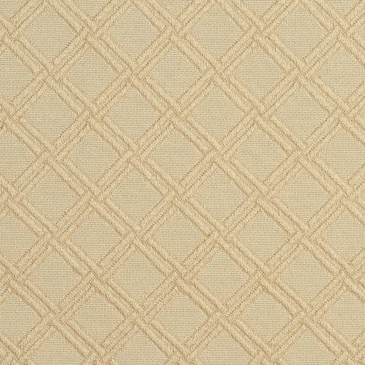 5546 Ivory/Diamond by Charlotte Designer Fabric Enchanted Gardens 75% Cotton, 25% Polyester Asia Exceeds 70,000 Wyzenbeek Rubs (Heavy Duty) Horizontal: 1.5" x Vertical: 1.5" 54 Inches - Swanky Fabrics -