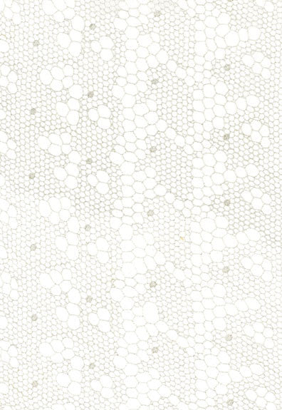 Tracery Lace Silver 55490 by Schumacher Designer Fabric - 80% Viscose, 20% Polyester - Horizontal: 12.5 and Vertical: 3 50 - Swanky Fabrics -