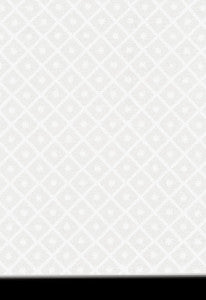 Isabella Sheer Embroidery Ivory 55550 by Schumacher Designer Fabric