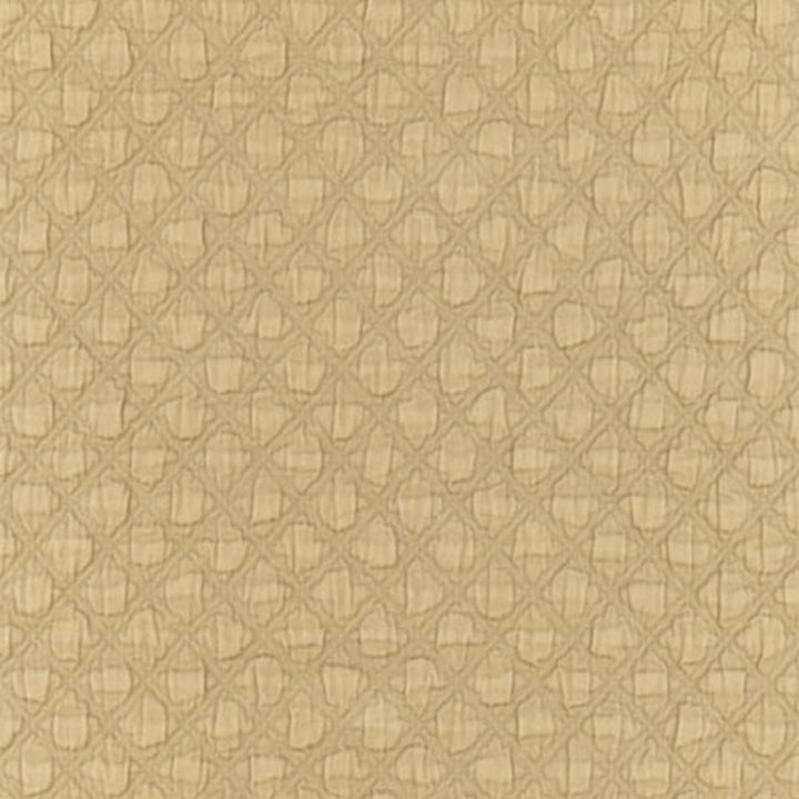 Lucca Matelasse Antelope 55581 by Schumacher Fabric Schumacher Fabric Lucca Matelasse Antelope 55581Fabric COTTON 100% ITALY </p><p>Repeat: H: HORZ. 1/2" (1CM) , V: VERT. 5/8" (2CM) 51 - Fabric Carolina -