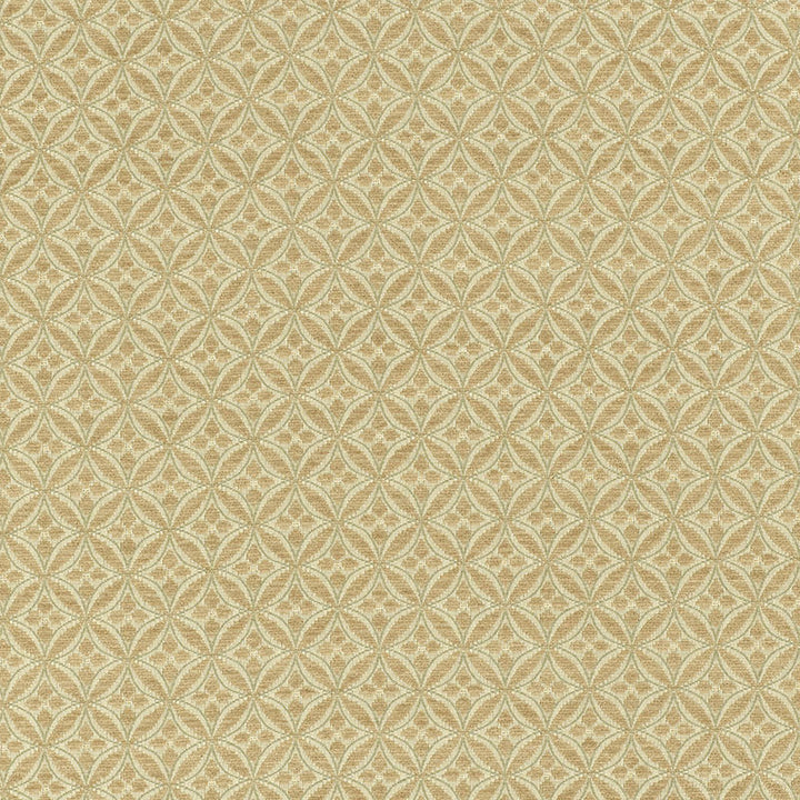 Martine Weave Dove 55724 by Schumacher Designer Fabric MATTHEW PATRICK SMYTH COTTON 65% VISCOSE 35% ITALY WYZENBEEK 12,000 </p><p>Repeat: Horizontal: 5/8" (2CM) and Vertical: 5/8" (2CM) 54 - Swanky Fabrics -