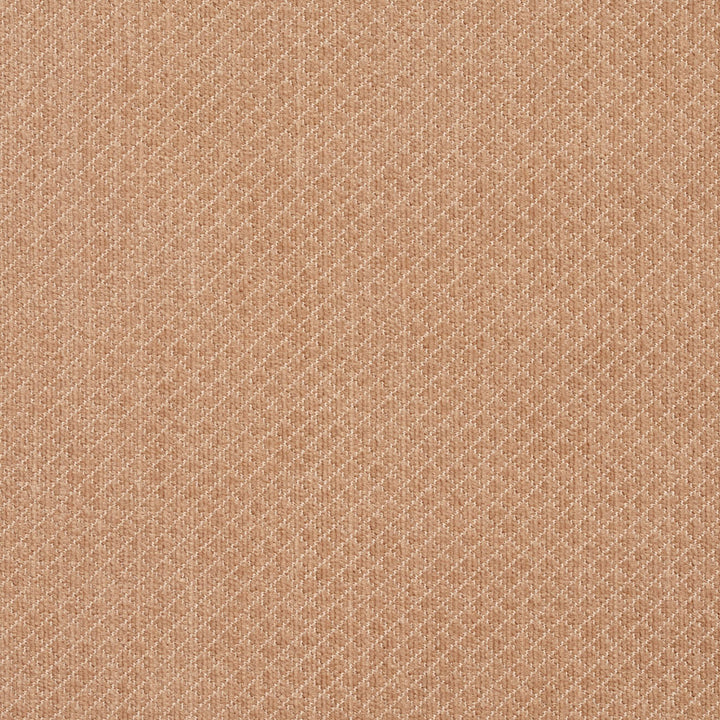 5594 Sand by Charlotte Designer Fabric Ring Book Page #29 100% Woven Polyester Asia Exceeds 100,000 Wyzenbeek Rubs (Heavy Duty) Horizontal: 0.25" x Vertical: 0.25" 54 Inches - Swanky Fabrics -