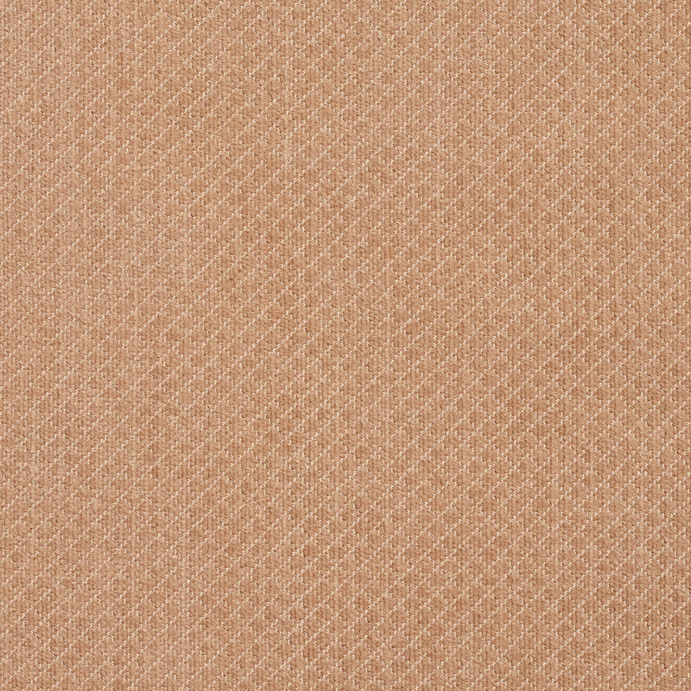 5594 Sand by Charlotte Designer Fabric Ring Book Page #29 100% Woven Polyester Asia Exceeds 100,000 Wyzenbeek Rubs (Heavy Duty) </p><p>Repeat: Horizontal: .25" x Vertical: .25" 54 Inches - Swanky Fabrics -