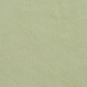 5681 Mint by Charlotte Designer Fabric