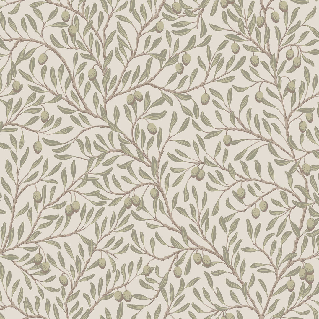 Olivträd Leaf And Ivory 5705 by Schumacher Designer Wallcovering