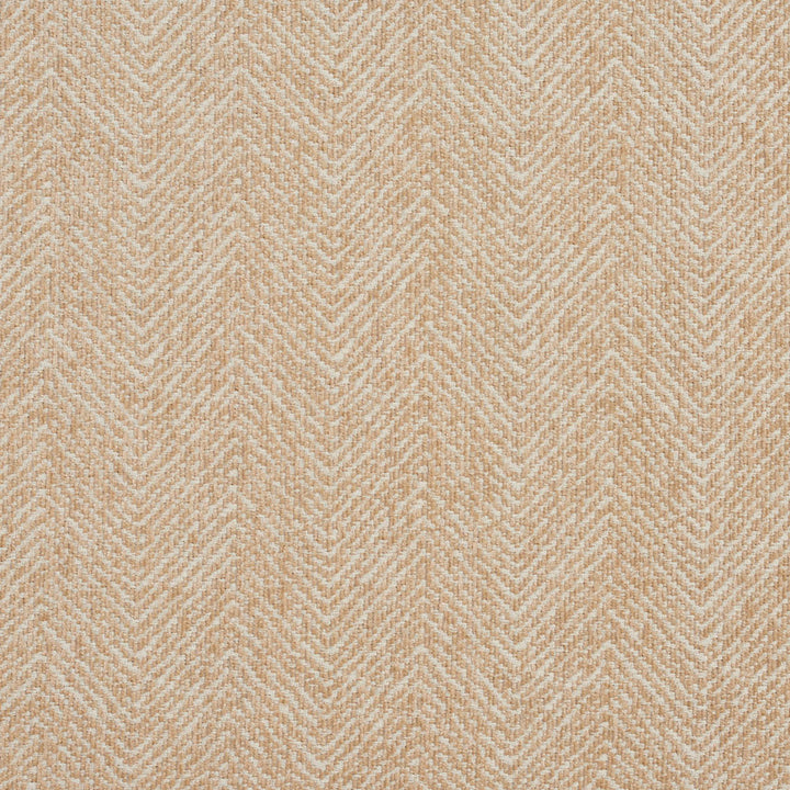 5731 Natural by Charlotte Designer Fabric Ring Book Page #18A 100% Woven Polyester Asia Exceeds 100,000 Wyzenbeek Rubs (Heavy Duty) </p><p>Repeat: Horizontal: 2.5" 54 Inches - Swanky Fabrics -