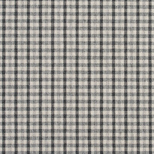 5810 Sterling Check by Charlotte Designer Fabric