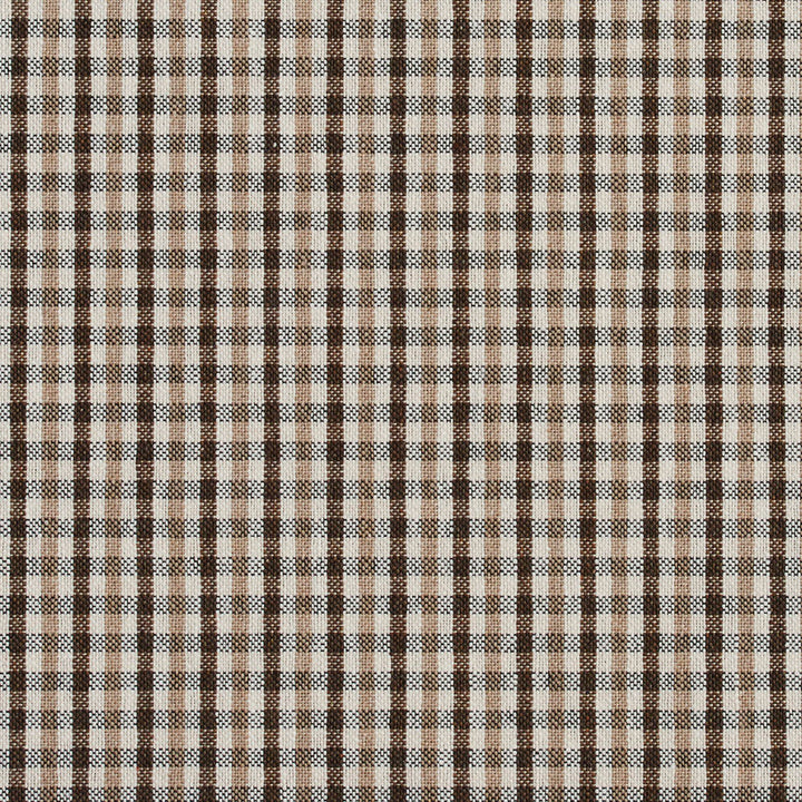 5812 Desert Check by Charlotte Designer Fabric Classic Patterns 52% Polyester, 48% Cotton Made In USA Exceeds 200,000 Wyzenbeek Rubs (Heavy Duty) Horizontal: .5" X Vertical: .25" 54 Inches - Swanky Fabrics -