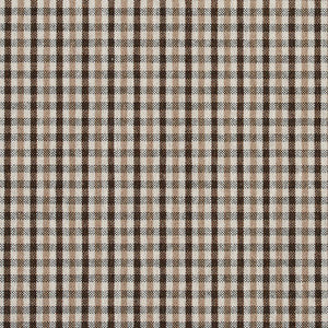 5812 Desert Check by Charlotte Designer Fabric