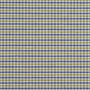5813 Laguna Check by Charlotte Designer Fabric