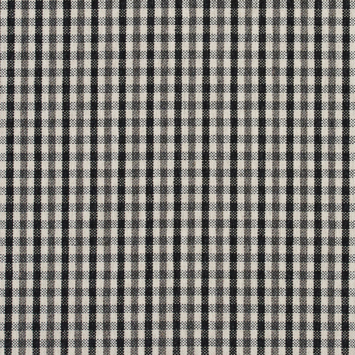 5815 Onyx Check by Charlotte Designer Fabric Classic Patterns 52% Polyester, 48% Cotton Made In USA Exceeds 200,000 Wyzenbeek Rubs (Heavy Duty) Horizontal: .5" X Vertical: .25" 54 Inches - Swanky Fabrics -