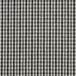 5815 Onyx Check by Charlotte Designer Fabric