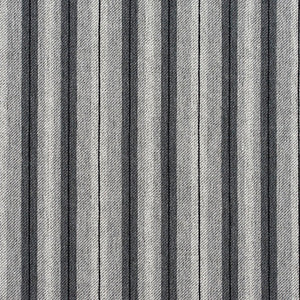 5820 Sterling Stripe by Charlotte Designer Fabric