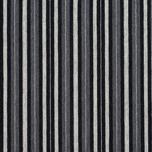 5825 Onyx Stripe by Charlotte Designer Fabric