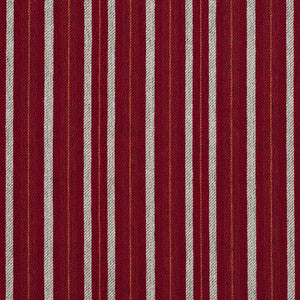 5826 Spice Stripe by Charlotte Designer Fabric