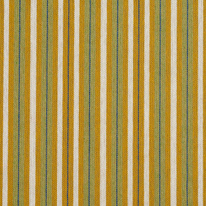 5828 Spring Stripe by Charlotte Designer Fabric