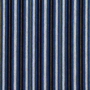 5829 Cobalt Stripe by Charlotte Designer Fabric