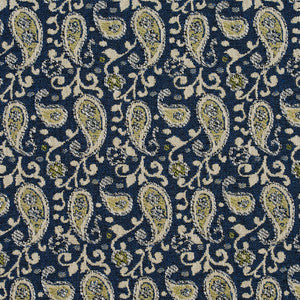 5843 Laguna Paisley by Charlotte Designer Fabric