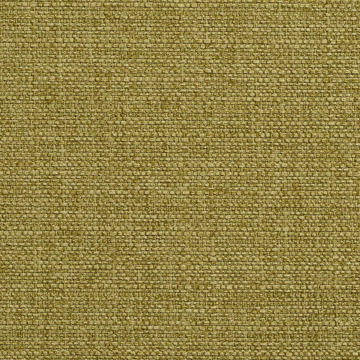 5908 Kiwi by Charlotte Designer Fabric Woven Crypton 100% Woven Polyester Asia Exceeds 100,000 Wyzenbeek Rubs (Heavy Duty) No Repeat 54 Inches - Swanky Fabrics -