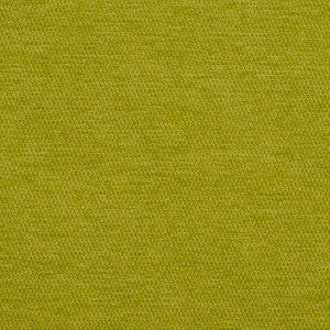 5929 Lime by Charlotte Designer Fabric
