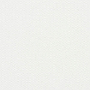 5940 White by Charlotte Designer Fabric
