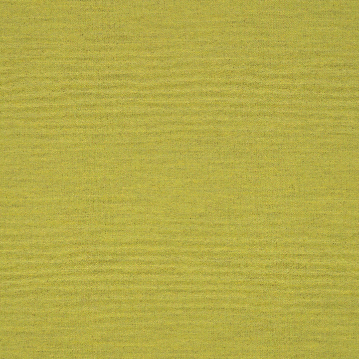 62027-0003 Triumph Leaf by Sunbrella Designer Fabric Sunbrella Transcend SunbrellaÂ® Acrylic, SunbrellaÂ® Polyester USA or Imported 5-Year Horizontal: and Vertical: 50 yd. 54 in. - Swanky Fabrics -