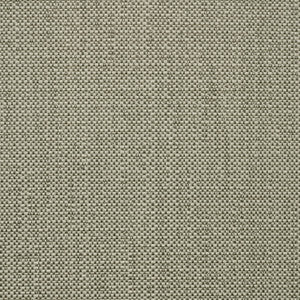 SAV2 J350 140 Savane Nimbus by Sunbrella Designer Fabric