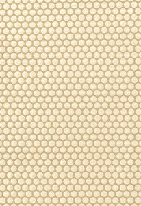 Sprinkle Natural 62272 by Schumacher Designer Fabric