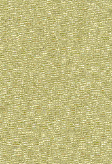 Stone Texture Fern 62463 by Schumacher Designer Fabric By-Nature 100% Organic Martindale 18,000 Horizontal: - and Vertical: - 56 - Swanky Fabrics -