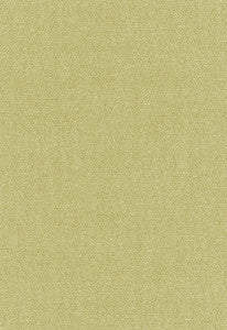 Stone Texture Fern 62463 by Schumacher Designer Fabric