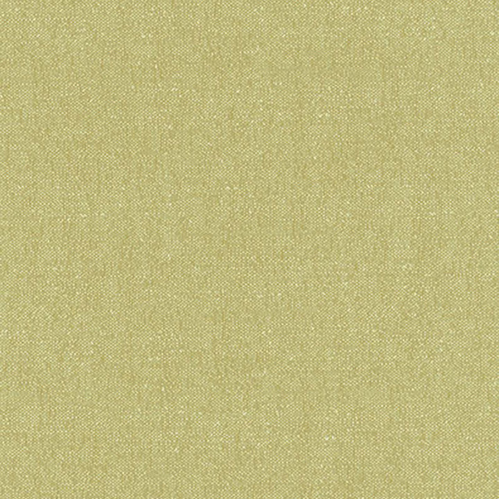Stone Texture Fern 62463 by Schumacher Designer Fabric BY NATURE See Sample FRANCE HEAVY DUTY </p><p>Repeat: Horizontal: - and Vertical: - 56" WIDE (142CM) - Swanky Fabrics -