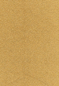 Kenya Texture Camel 62570 by Schumacher Designer Fabric