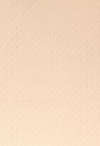 Bryce Diamond Ecru 62710 by Schumacher Designer Fabric