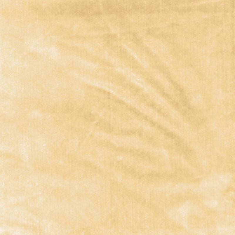 Venetian Silk Velvet Champagne 62730 by Schumacher Fabric Schumacher Fabric Venetian Silk Velvet Champagne 62730Fabric SILK 51% ITALY </p><p>Repeat: H: , V: 55 - Fabric Carolina -