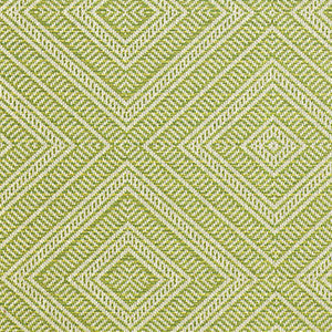 Tortola Indoor/Outdoor Kiwi 62840 by Schumacher Designer Fabric