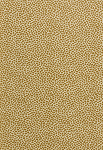 Madagascar Chenille Rattan 62921 by Schumacher Designer Fabric