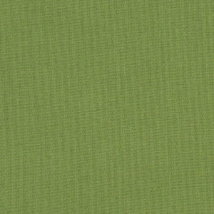 48022 77 Rain Spectrum Cilantro by Sunbrella Designer Fabric