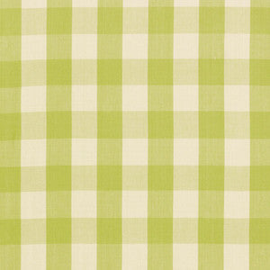 Camden Cotton Check Pear 63030 by Schumacher Designer Fabric